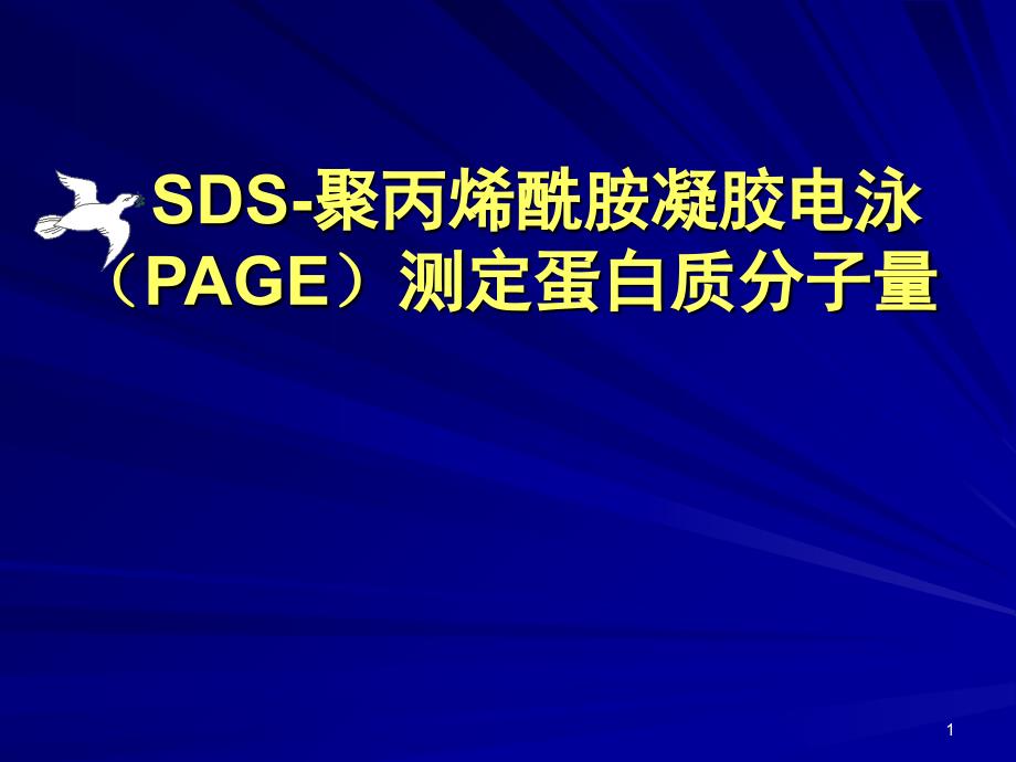 大肠杆菌感受态细胞的制备和转化参考PPT_第1页