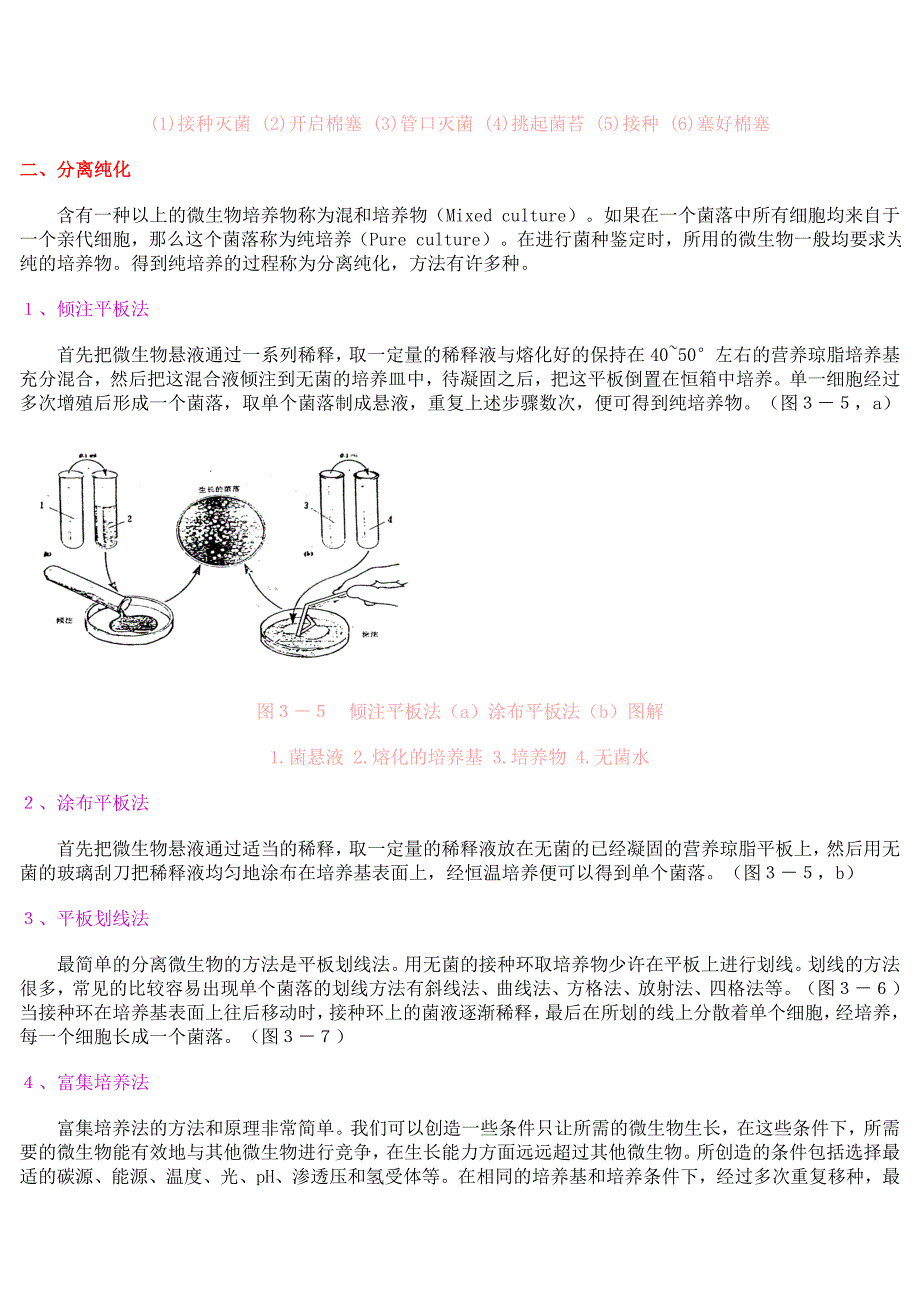 菌种的分离与纯化.doc_第3页