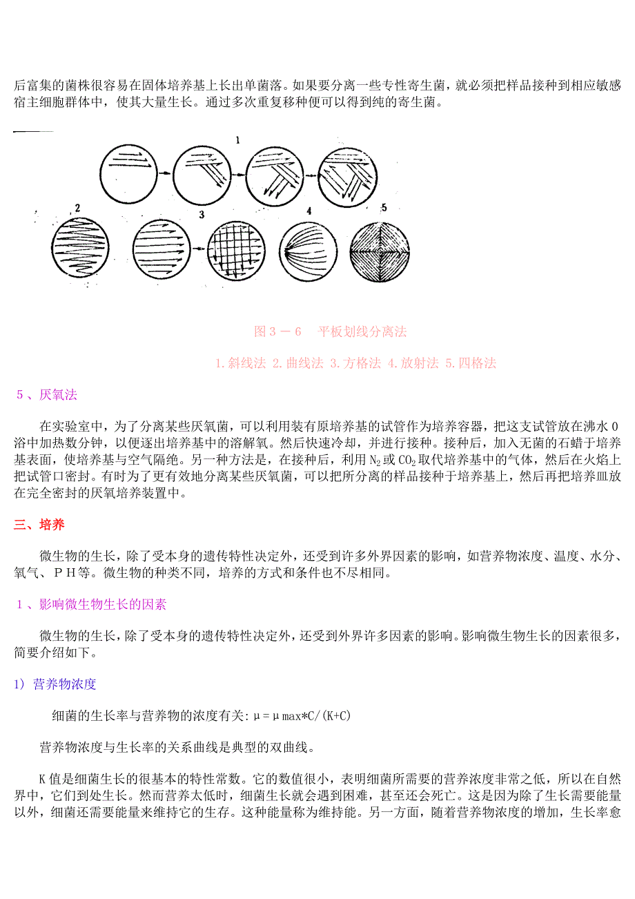 菌种的分离与纯化.doc_第4页