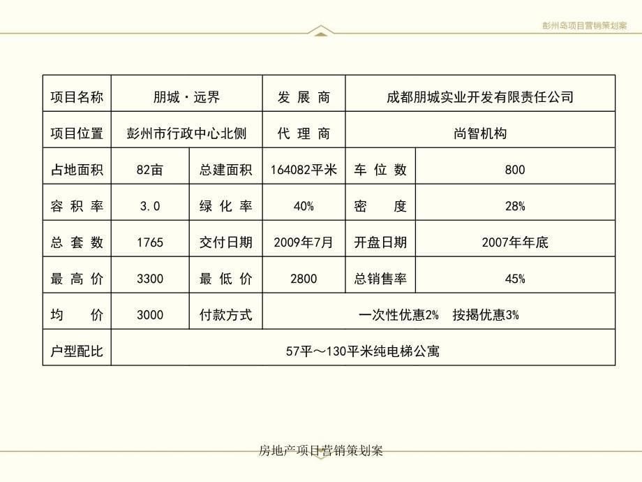 房地产项目营销策划案_第5页