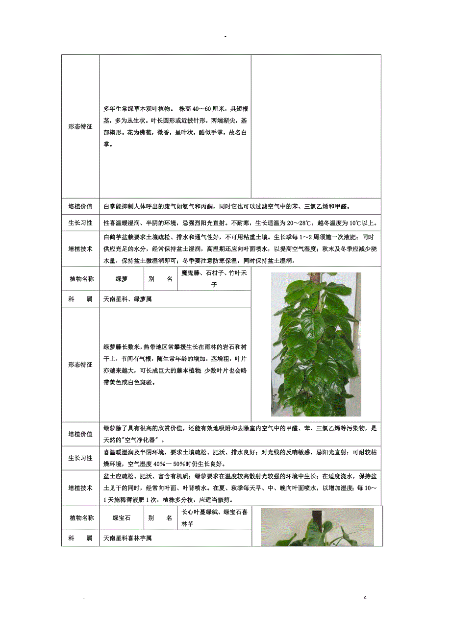 50种常见室内绿化植物介绍带高清图片_第4页