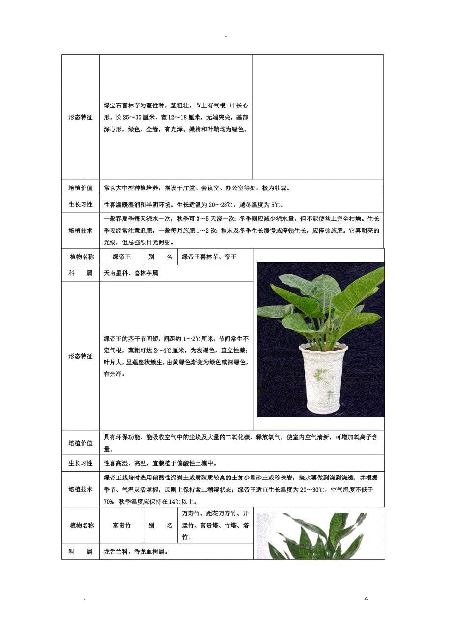 50种常见室内绿化植物介绍带高清图片_第5页
