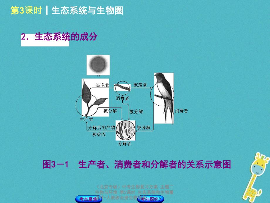 中考生物复习方案主题二生物与环境第3课时生态系统和生物圈课件_第4页