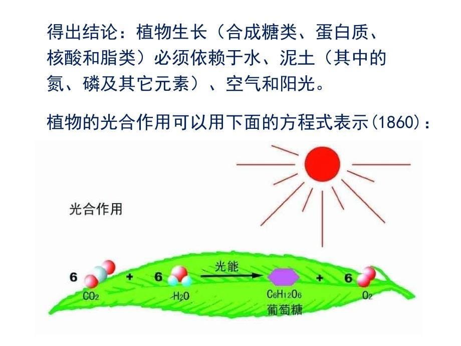 045光合Net253903390_第5页