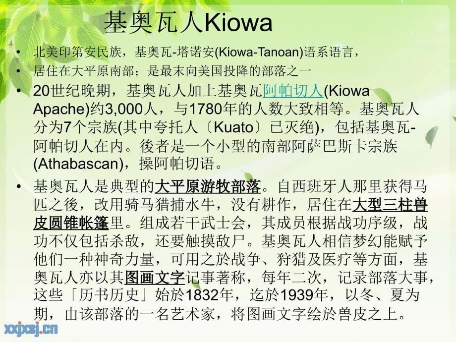 KiowaPeople基奥瓦人历史_第5页