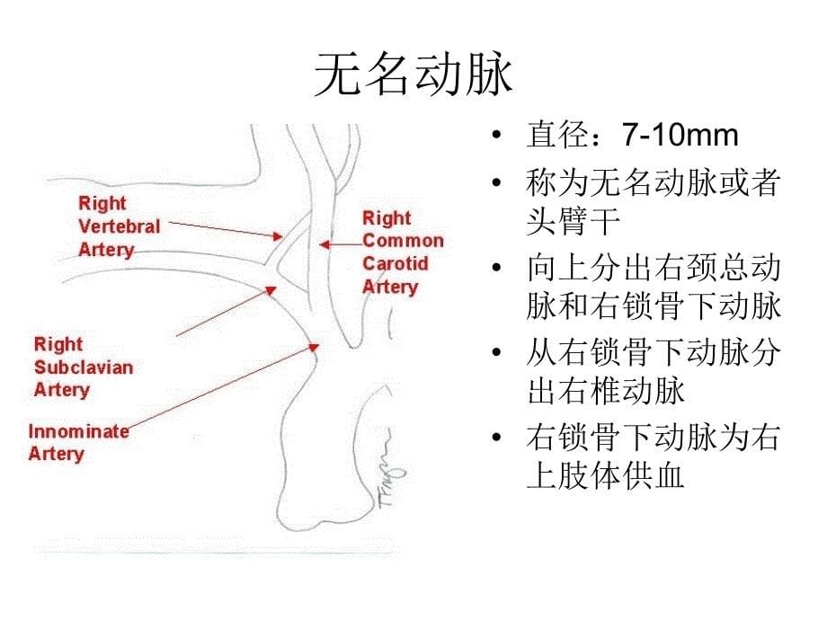 颈部血管超声正常解剖及常见病的超声诊断标准_第5页