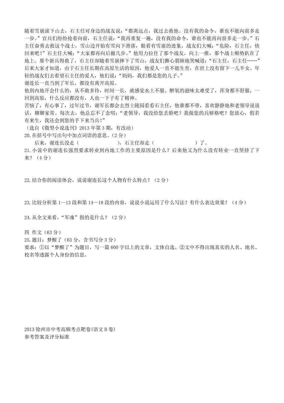 中考语文高频考点靶卷试题B卷_第5页