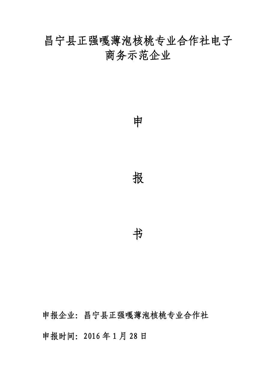 电子商务示范企业_第1页