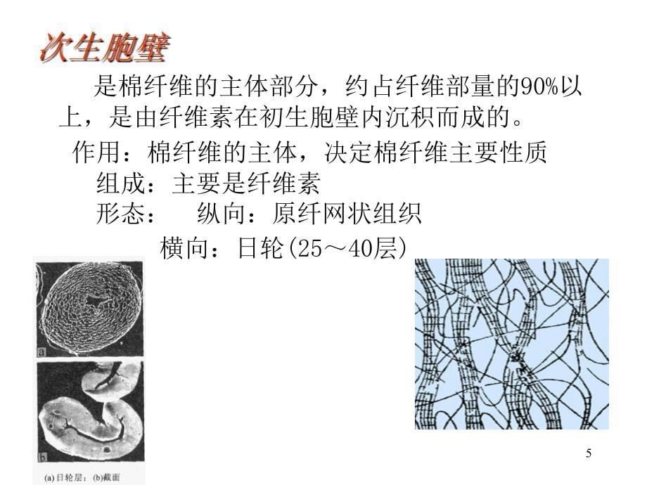 常用纺织纤维结构和性能PPT精选文档_第5页