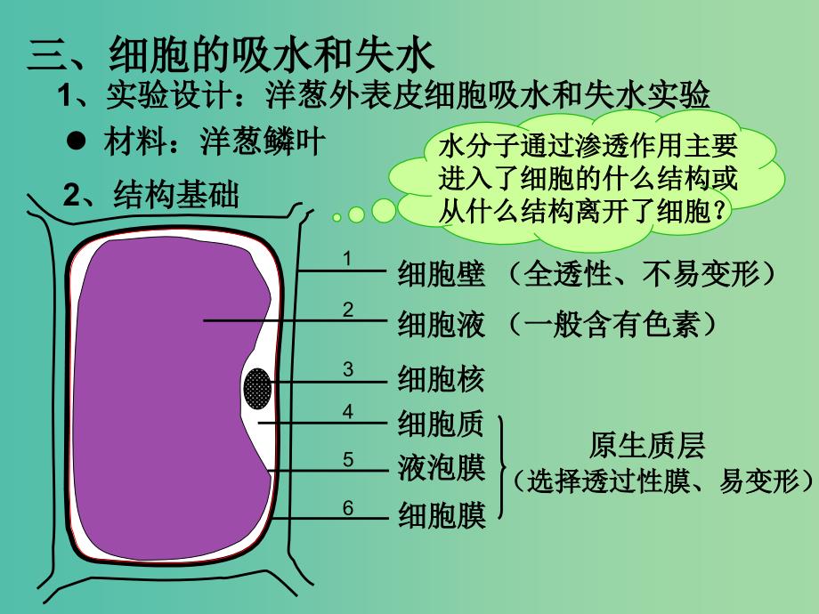 高中生物第一册第3章生命的结构基础3.1细胞膜课件5沪科版.ppt_第3页