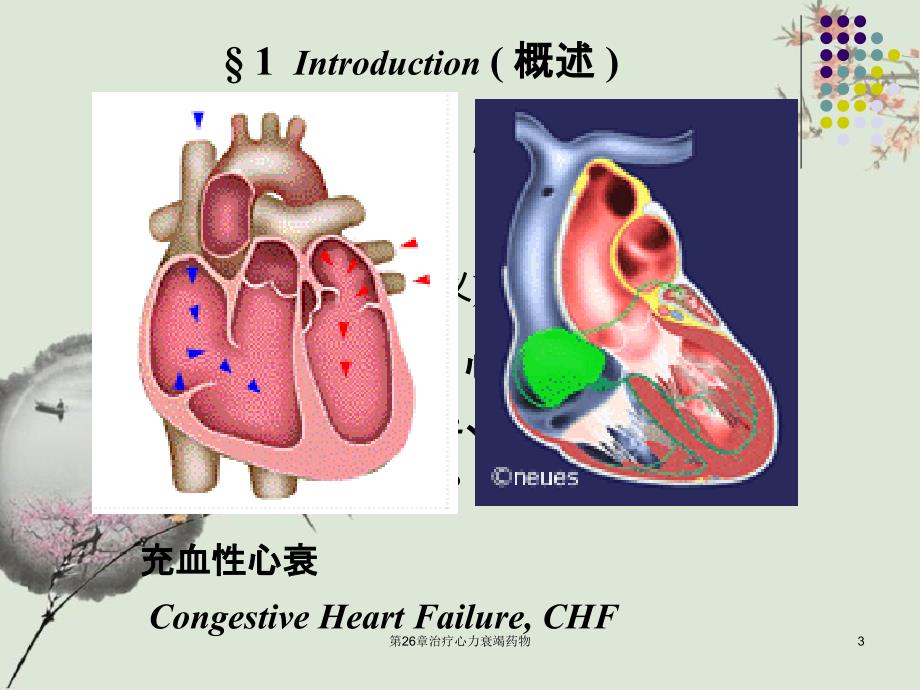 第26章治疗心力衰竭药物_第3页