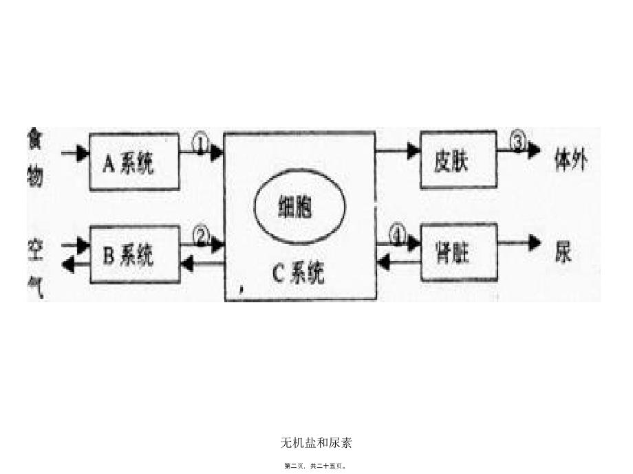 无机盐和尿素课件_第2页