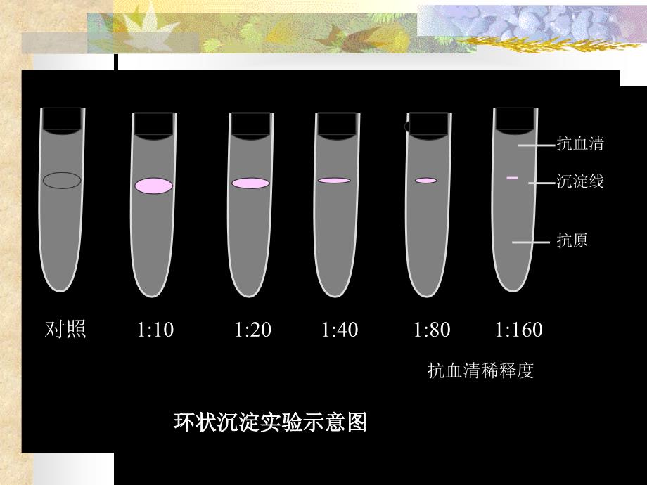 抗原抗体反应的应用课件_第3页