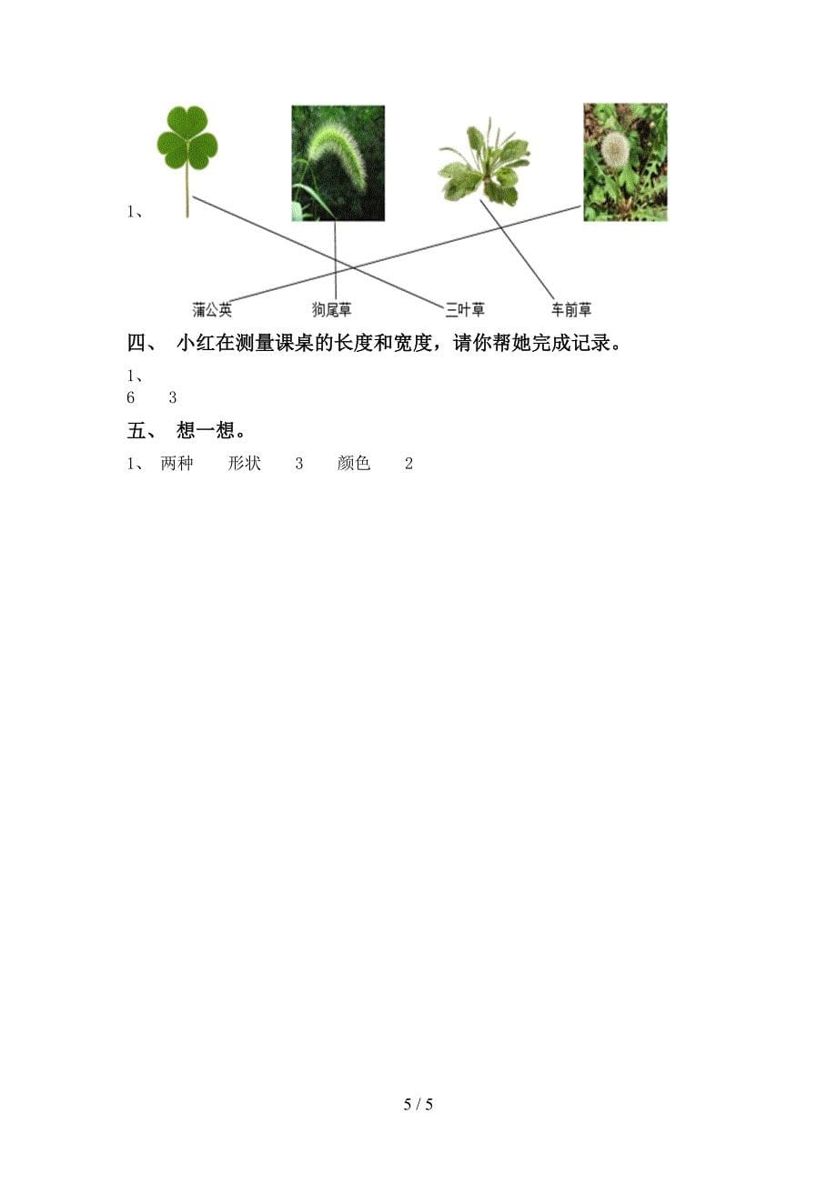 2022-2023年教科版一年级科学下册期中测试卷一.doc_第5页