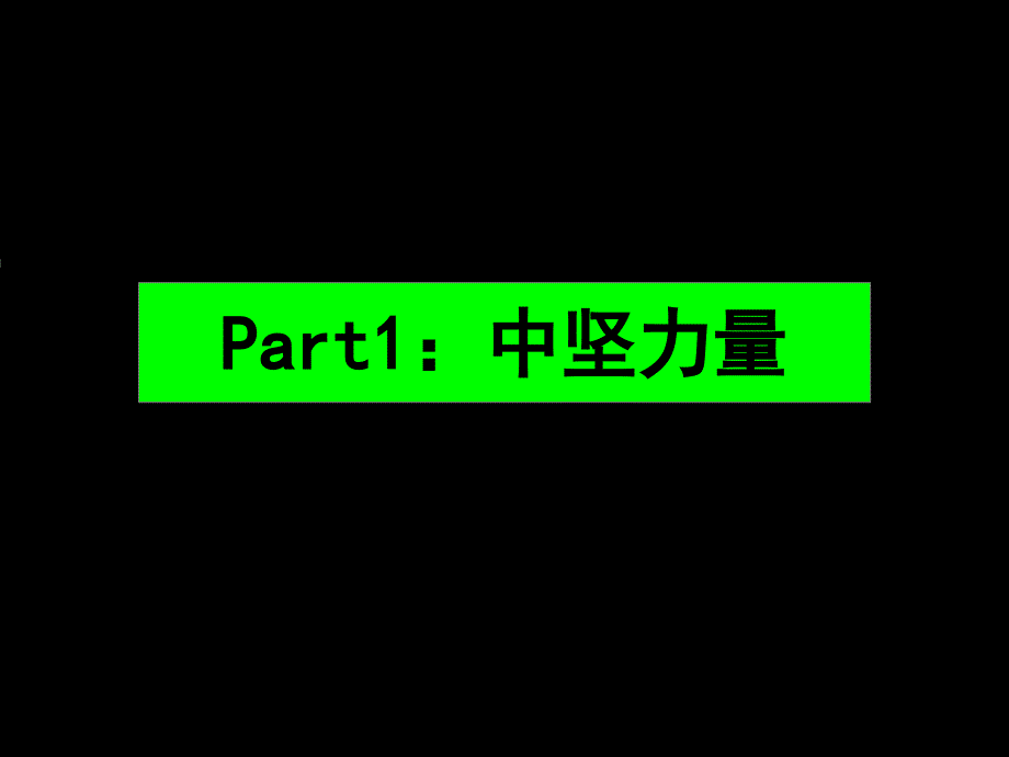 沈阳金冠兴顺街项目推广提案108p_第3页