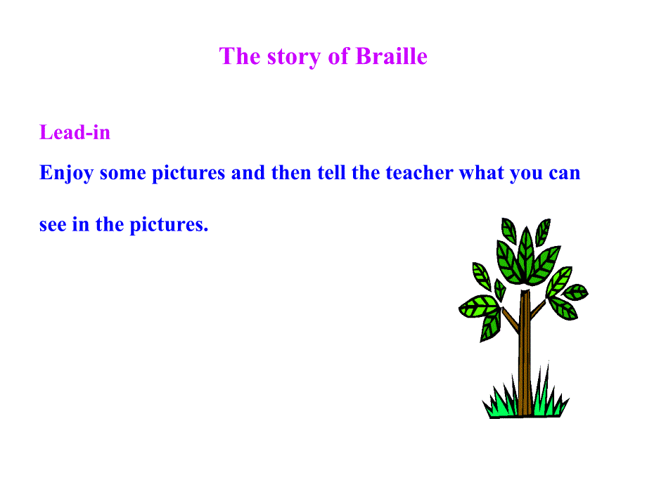 ProjectthestoryofBraillePPT课件_第2页