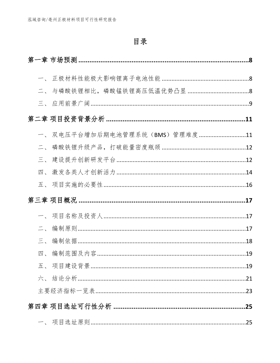 亳州正极材料项目可行性研究报告（参考模板）_第2页