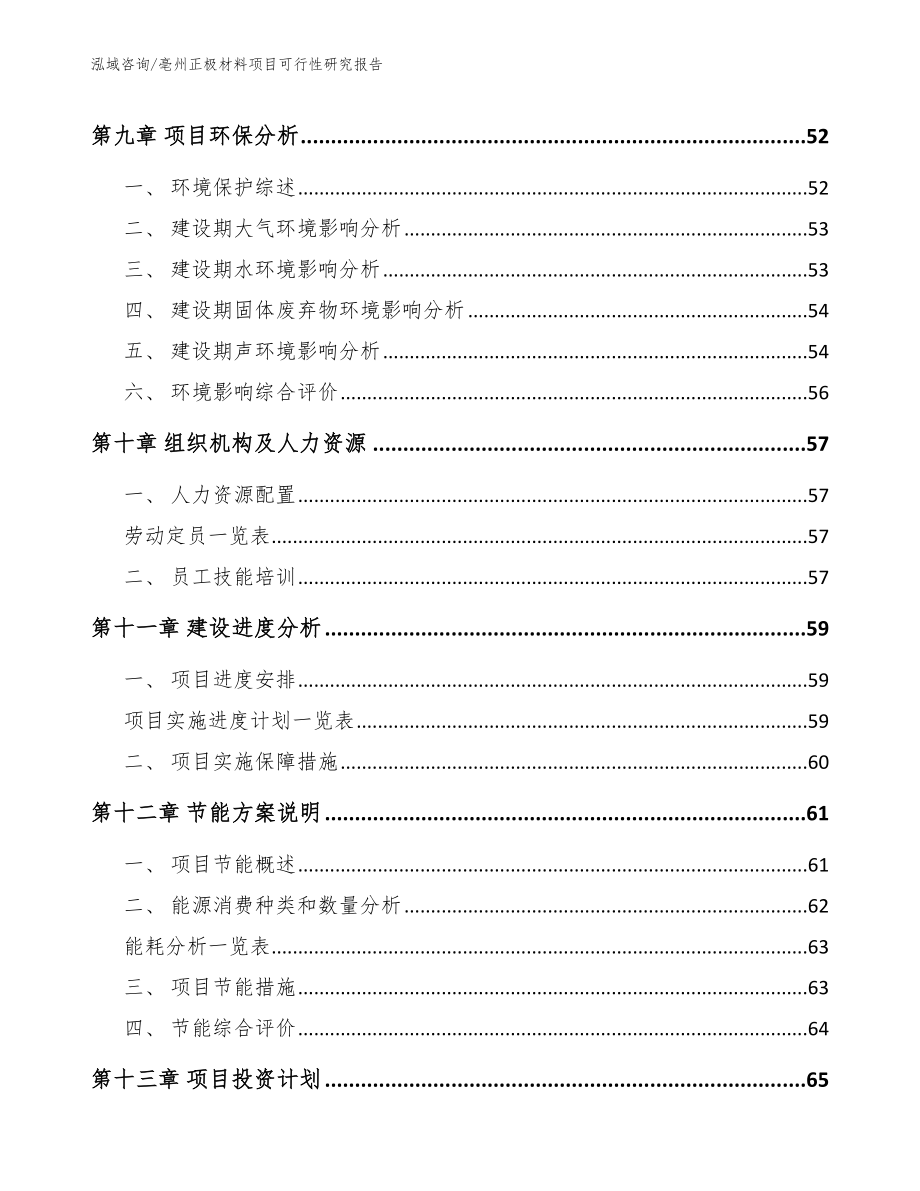 亳州正极材料项目可行性研究报告（参考模板）_第4页