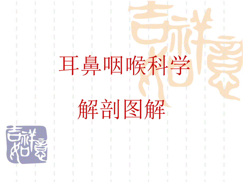 耳鼻咽喉科学解剖图解_第1页