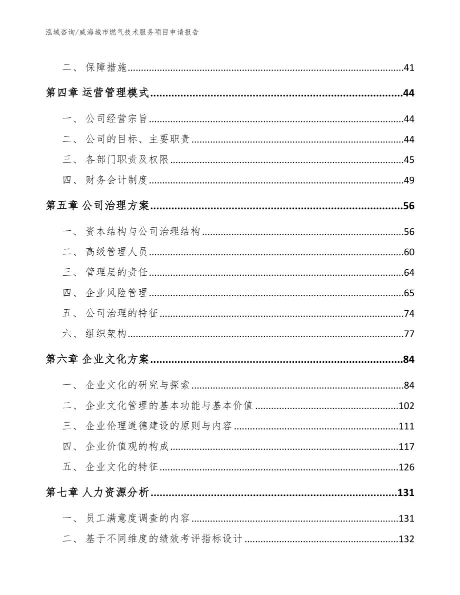 威海城市燃气技术服务项目申请报告（范文）_第3页