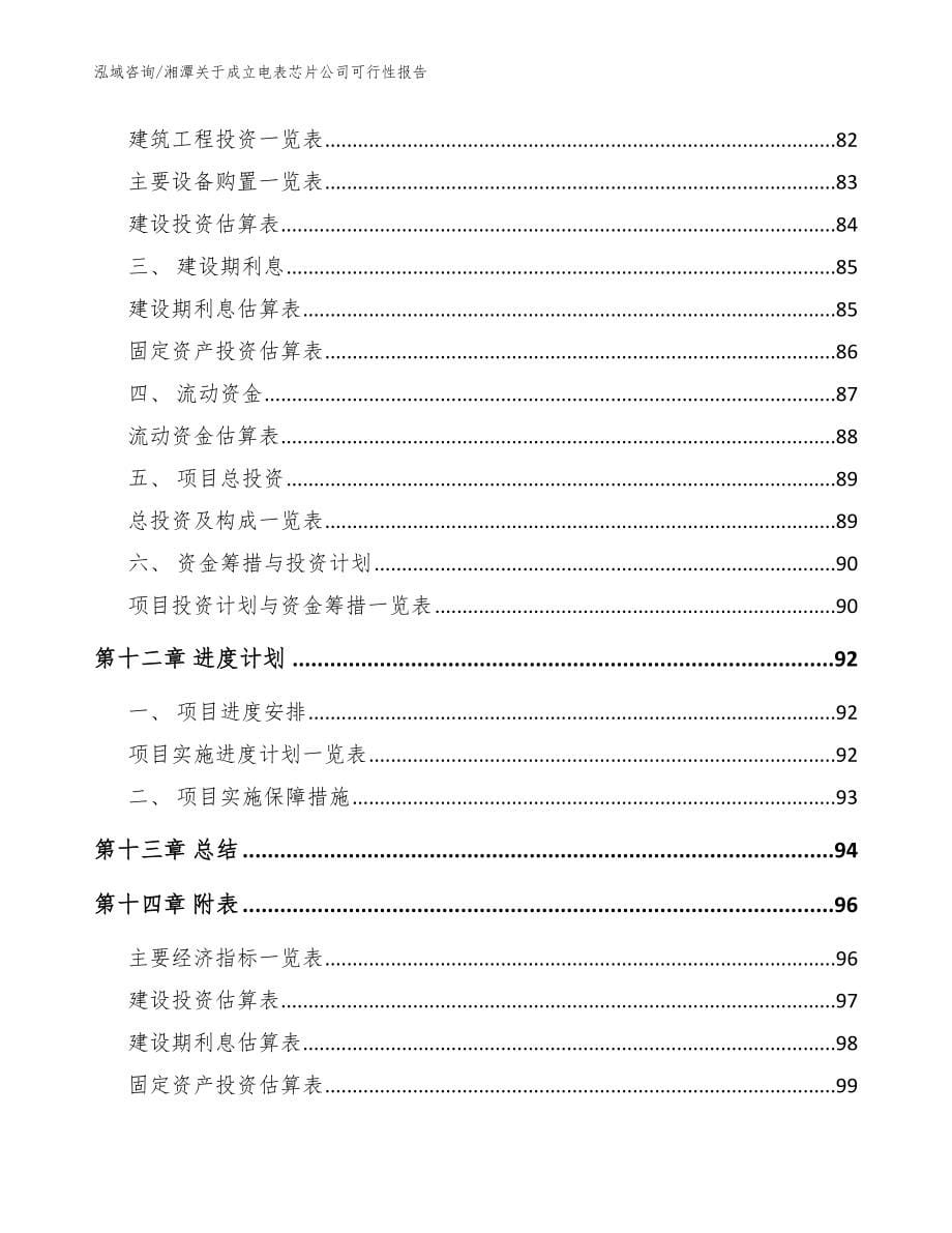 湘潭关于成立电表芯片公司可行性报告【模板范文】_第5页