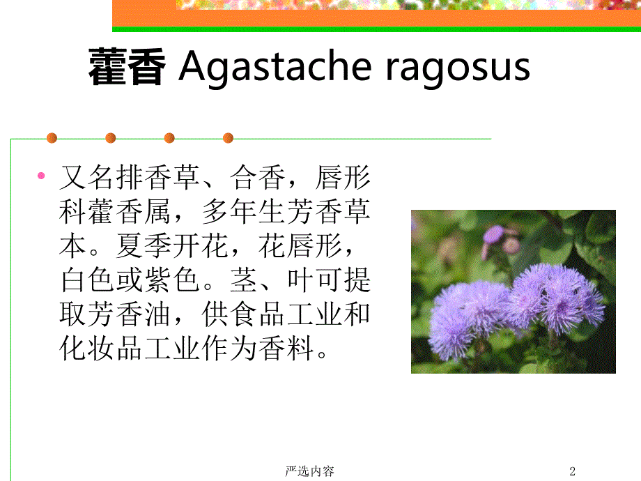 芳香植物图谱【优质参考】_第2页