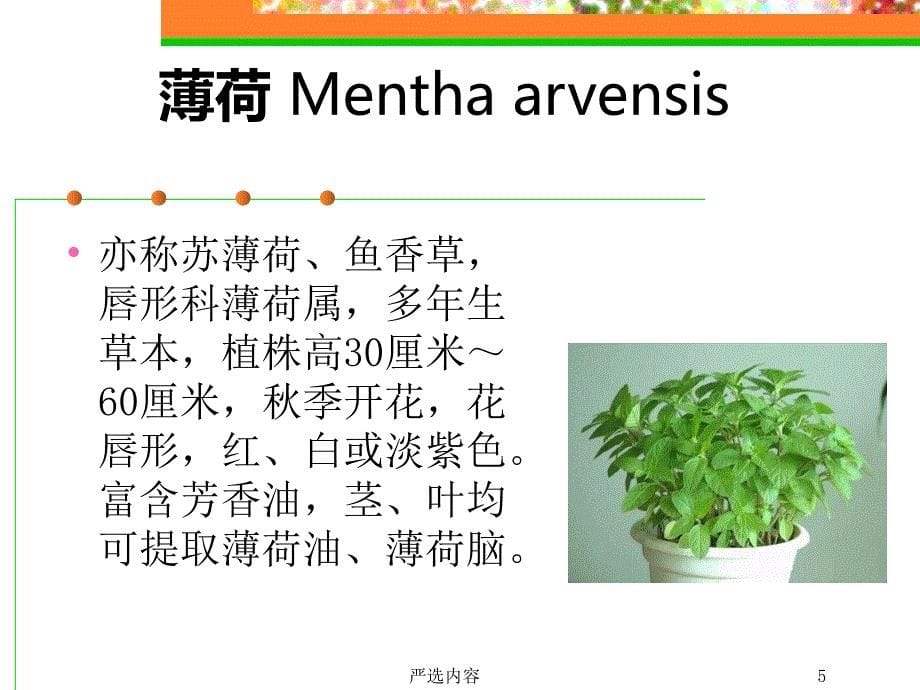 芳香植物图谱【优质参考】_第5页