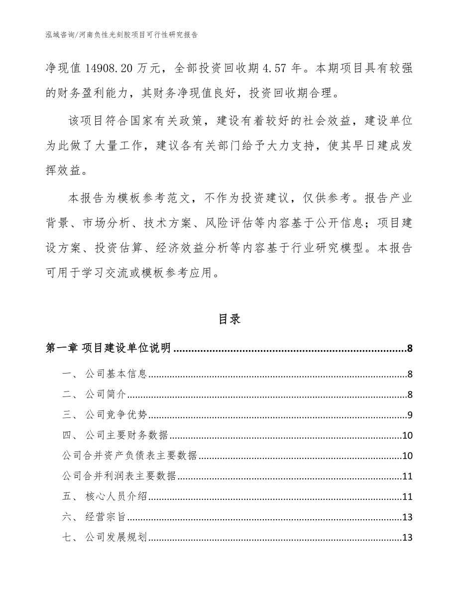 河南负性光刻胶项目可行性研究报告_第2页