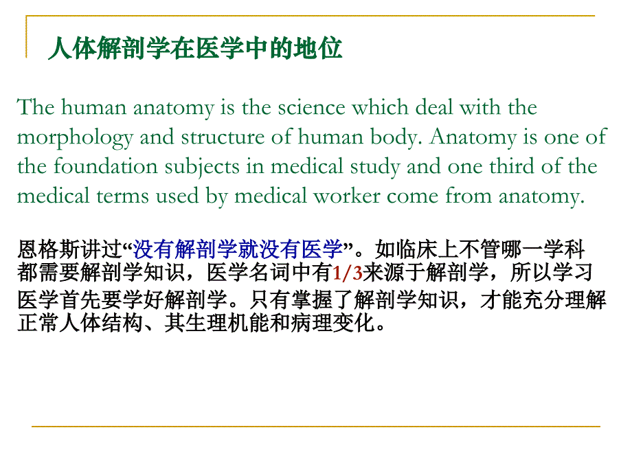 人体解剖学：解剖序言_第4页