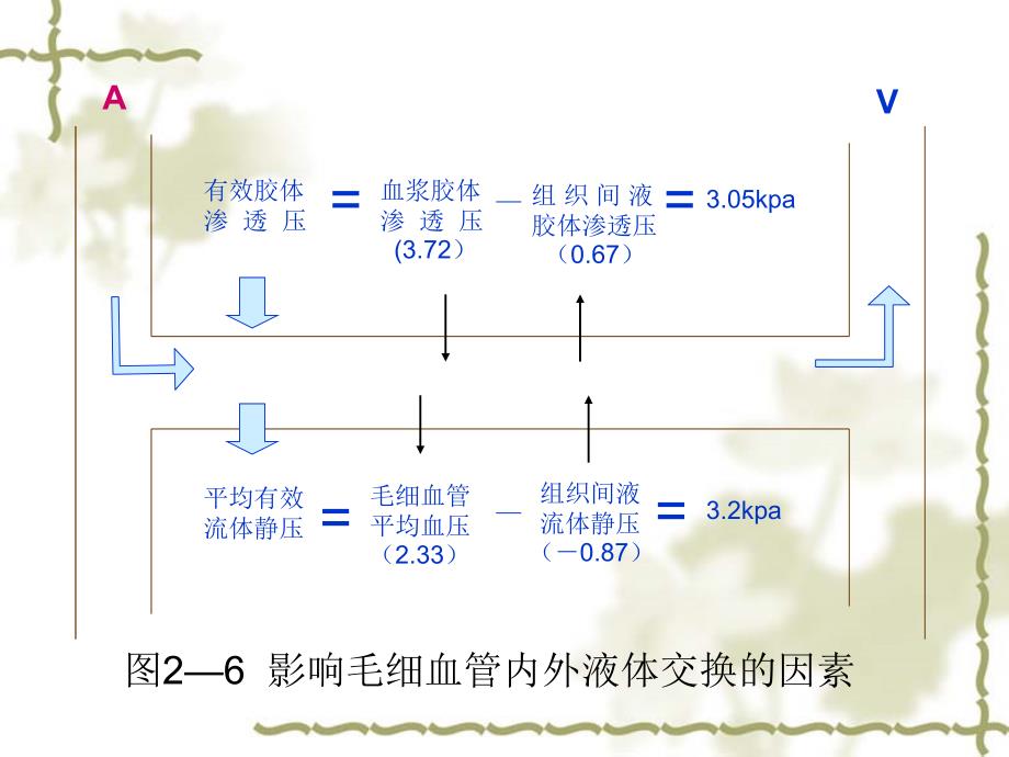 过多的液体在组织间隙或体腔中积聚_第2页