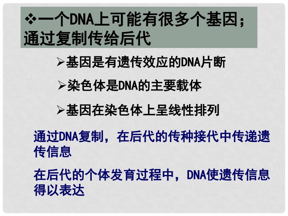 高中生物 第4章第1节 基因指导蛋白质的合成课件3 新人教版必修2_第2页