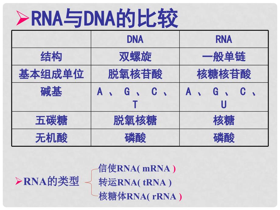 高中生物 第4章第1节 基因指导蛋白质的合成课件3 新人教版必修2_第3页