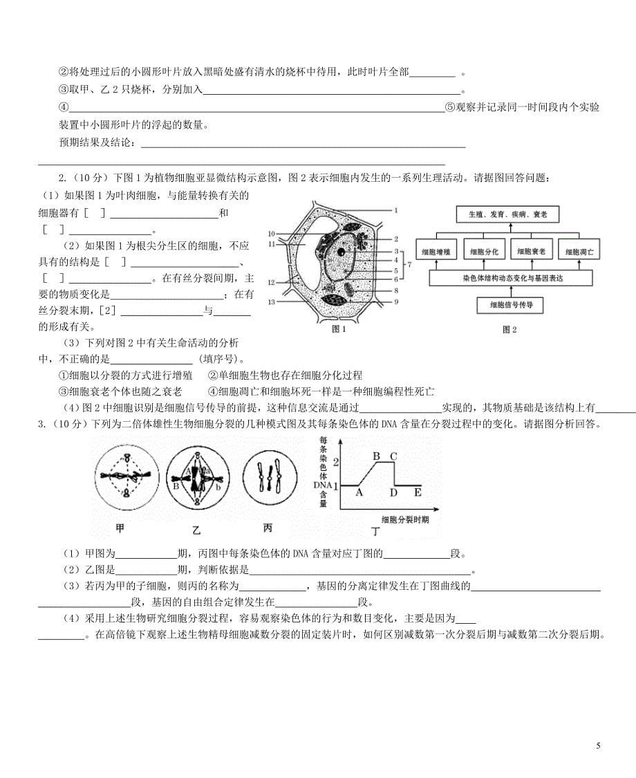 必修一总测试.doc_第5页