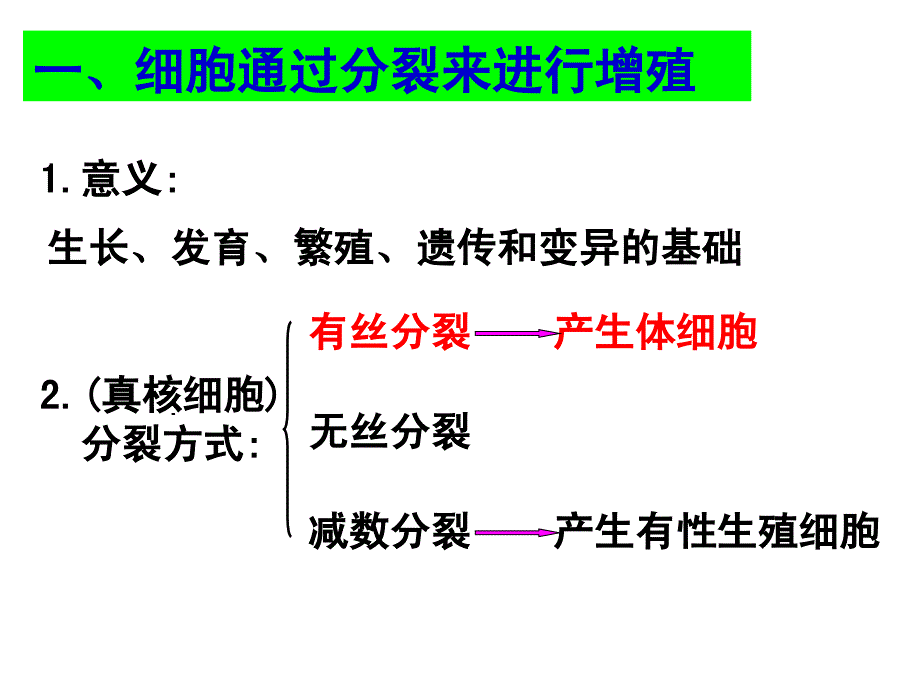 植物细胞的有丝分裂_第3页