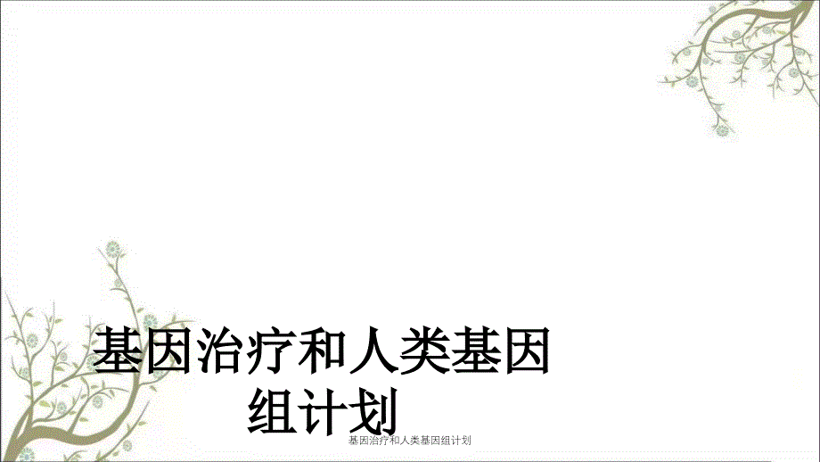 基因治疗和人类基因组计划课件_第1页