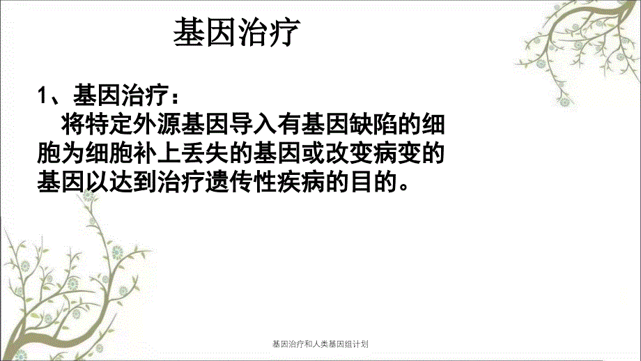 基因治疗和人类基因组计划课件_第3页