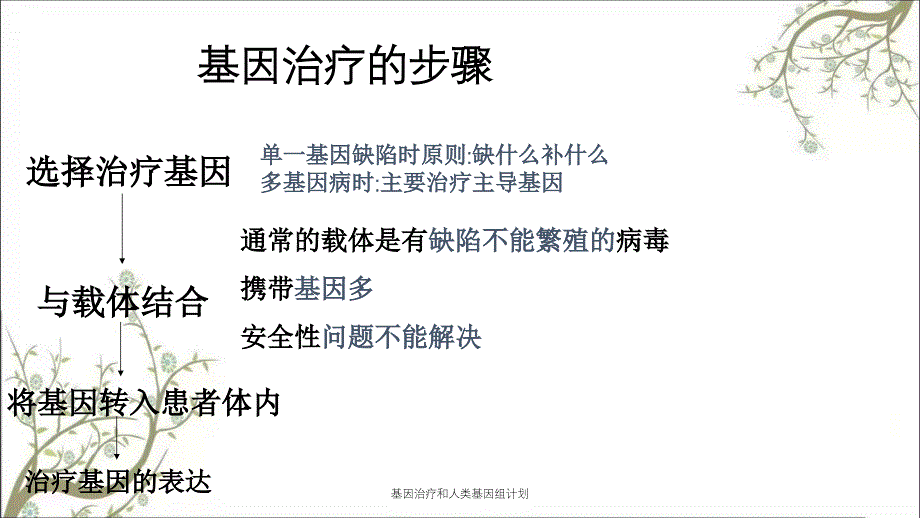 基因治疗和人类基因组计划课件_第4页