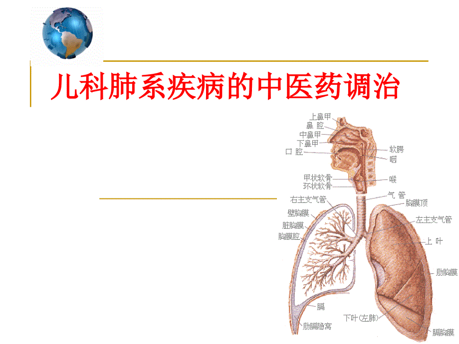 小儿肺系疾病的中医药调治 ppt课件_第1页