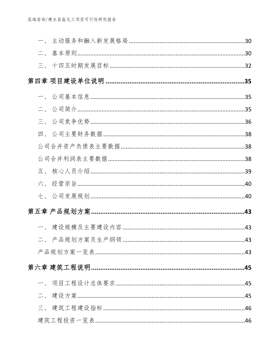 建水县盐化工项目可行性研究报告_第3页