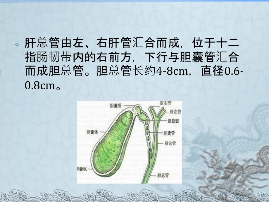 胆道系统超声诊断_第3页