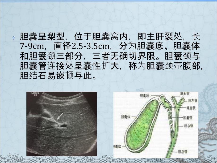 胆道系统超声诊断_第4页