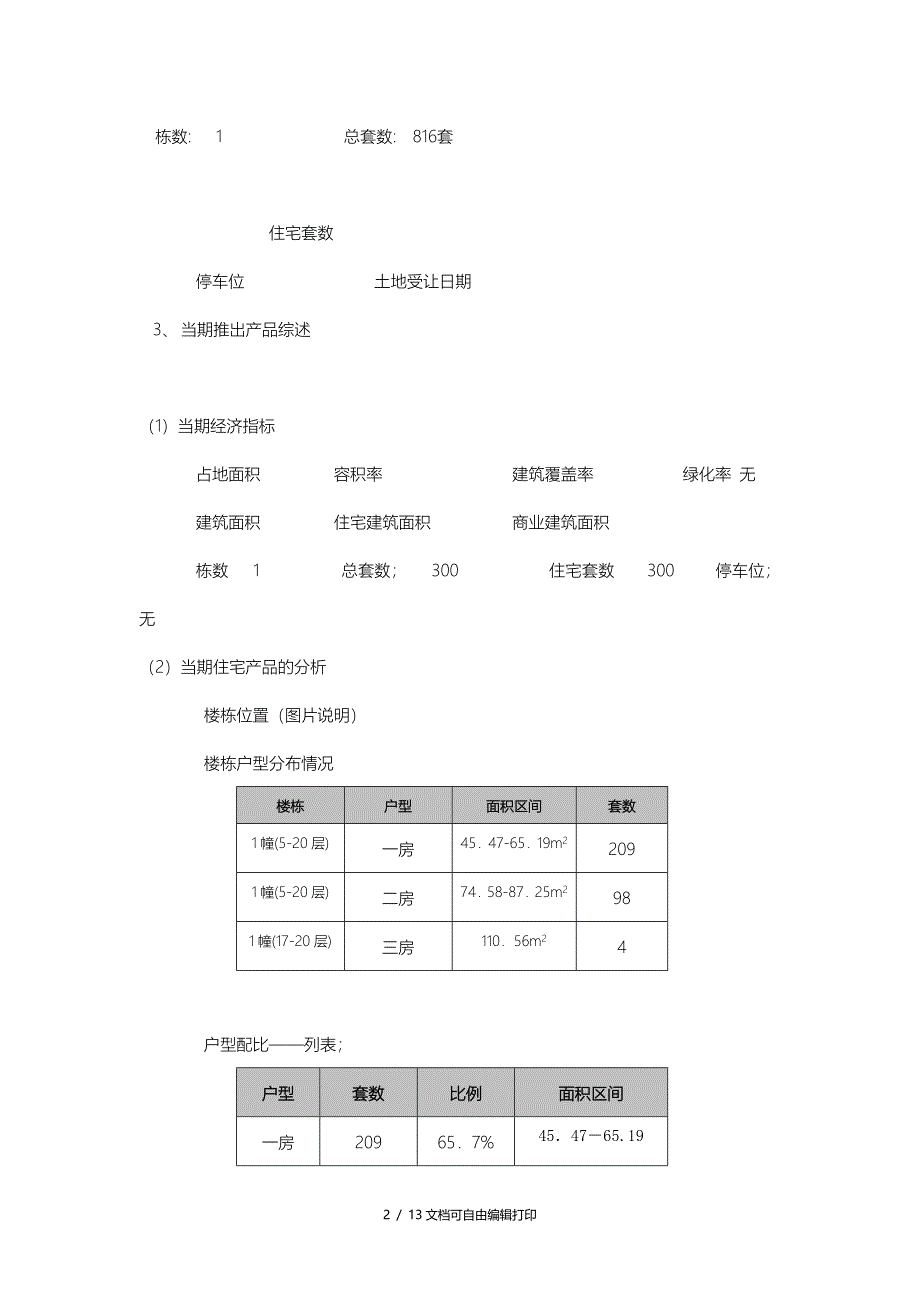 东城攻略销售报告_第2页