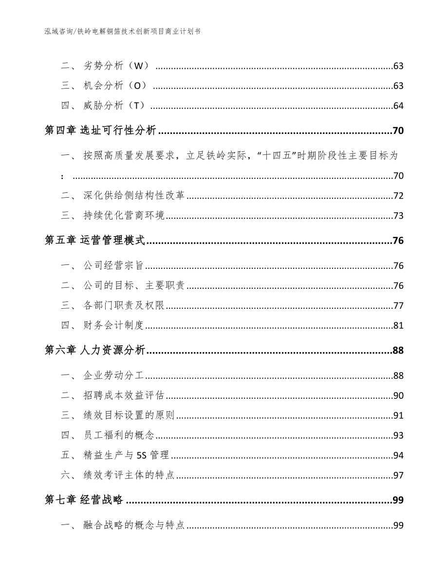 铁岭电解铜箔技术创新项目商业计划书（模板范文）_第3页