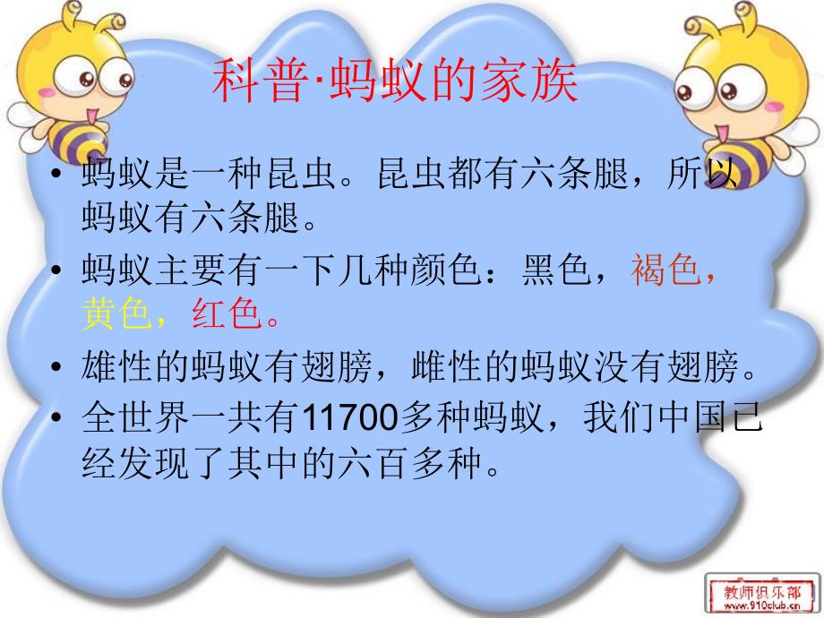 科普蚂蚁的家族_第1页