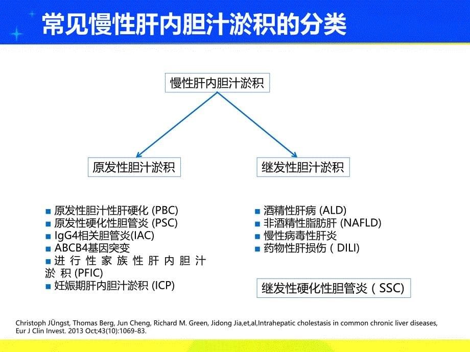 肝内胆汁淤积的诊断步骤与治疗要点_第5页