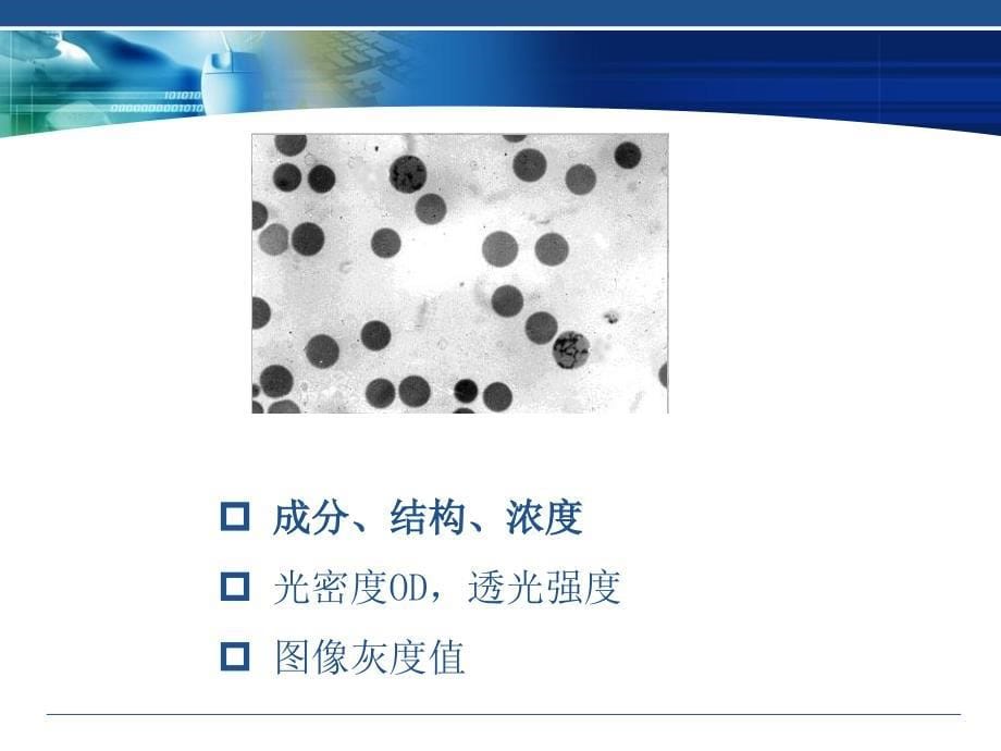 医学图像成像模式PPT课件_第5页