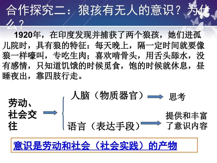 《意识的本质》定稿_第5页