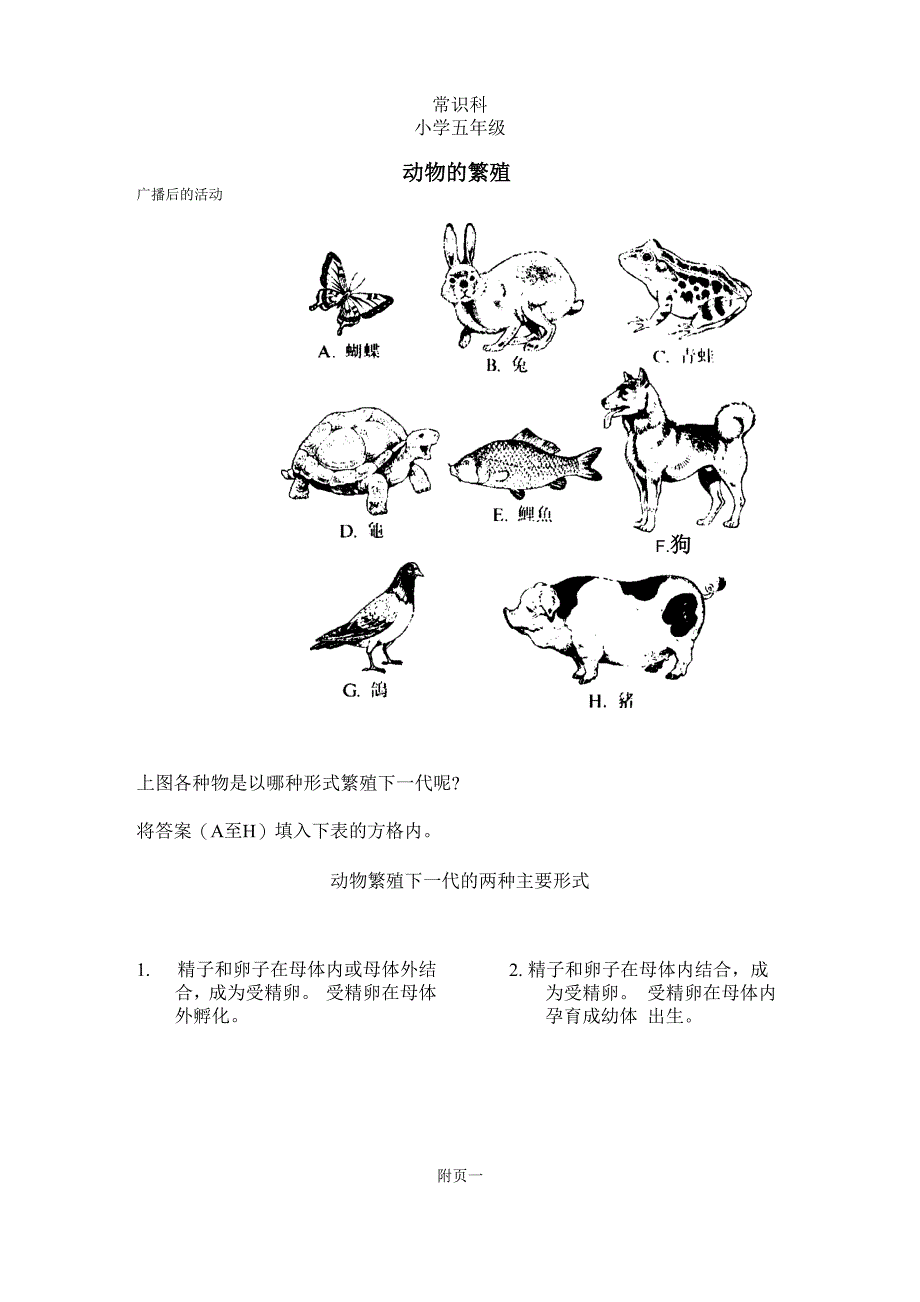 动物的繁殖_第4页