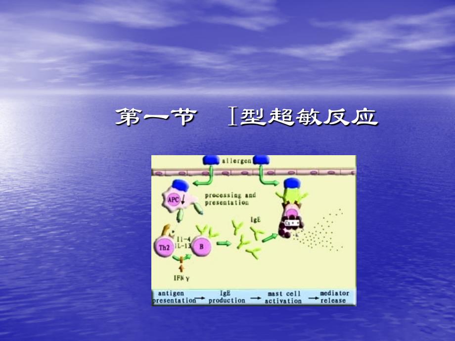 第十章超敏反应_第4页