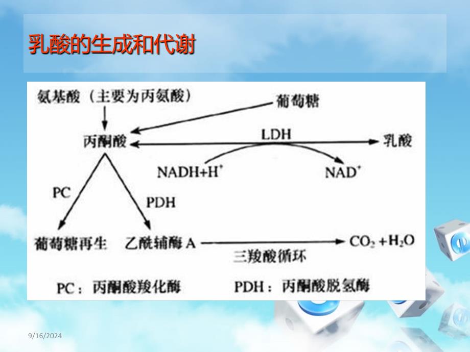 乳酸测定对急诊重病评估ppt课件_第4页